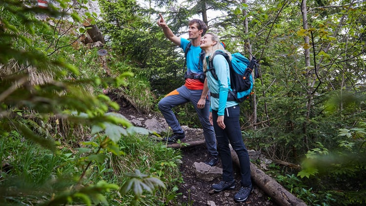Hervis Outdoorberater Zwei Personen wandern auf einem Waldweg, umgeben von dichter Vegetation. Eine Person zeigt nach vorne, während die andere in dieselbe Richtung blickt. Beide tragen Rucksäcke und passende Outdoor-Kleidung.